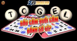 Đầu Câm, Đuôi Câm Hôm Sau Đánh Con Gì? Bảng Thống Kê Chi Tiết