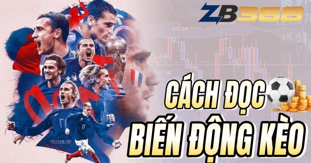 Cách Đọc Biến Động Kèo (Odds) Nhà Cái - Khi Nào Nên "Vào Kèo"?