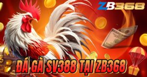 Đá Gà SV388 tại ZB368 - Trực Tiếp Thomo Campuchia & Bí Kíp Cược Hay