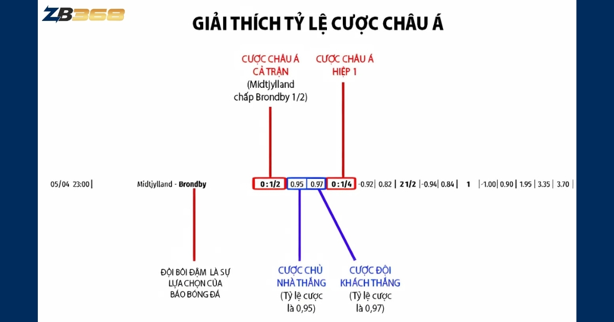 Kèo Châu Á Là Gì? Hướng Dẫn Đọc Kèo Chấp Chi Tiết Nhất