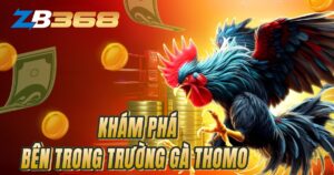 Khám Phá Bên Trong Trường Gà Thomo - Quy Mô và Mức Độ Chuyên Nghiệp