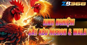 Kinh Nghiệm Xương Máu Khi Bắt Kèo Meron và Wala tại SV388