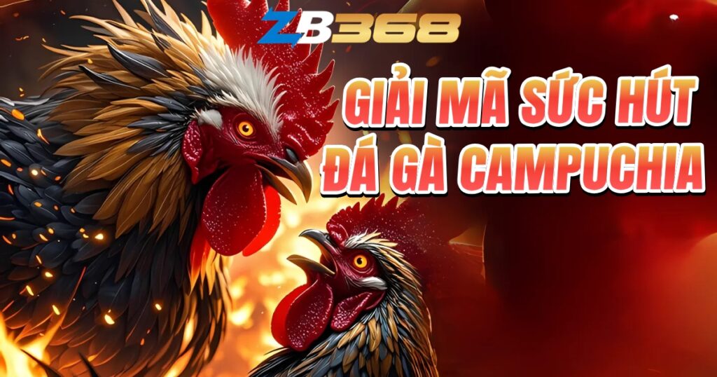 Giải Mã Sức Hút Đá Gà Campuchia - Lý Do Kê Thủ Việt Luôn Ưu Tiên