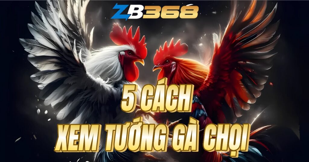 5 Cách Xem Tướng Gà Chọi Trước Khi Đá - Nhìn Màu Mạng, Vảy, Cựa