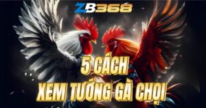 5 Cách Xem Tướng Gà Chọi Trước Khi Đá - Nhìn Màu Mạng, Vảy, Cựa